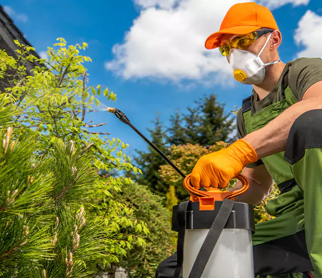 Your Mosquito Repellent Barrier Service in Estero, FL