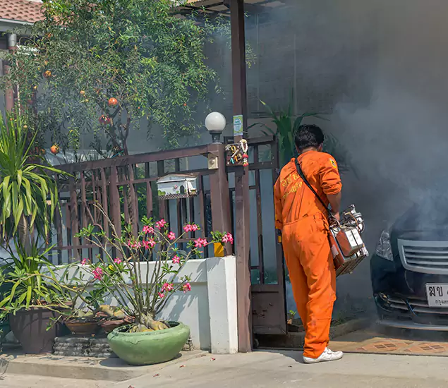 Your Proven Mosquito Fogging Company in Estero, FL