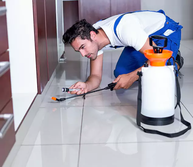 Reliable Professional Mouse Removal: Your Best Mouse Control Company in Estero, FL