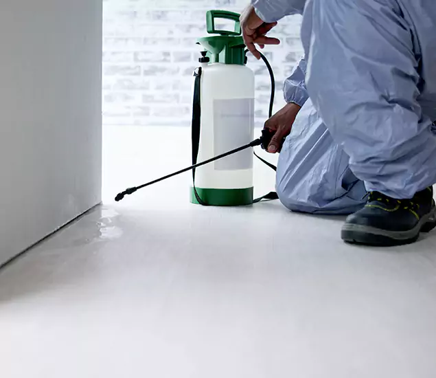 Affordable Pest Control Experts in Estero, FL