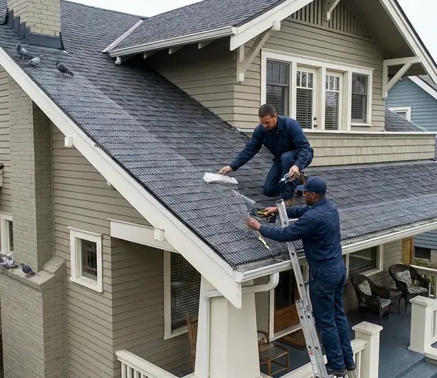 Your Pigeon Control Experts in Estero, FL