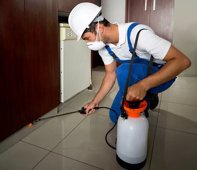 Advanced Termite Pre Treatment Experts in Estero, FL