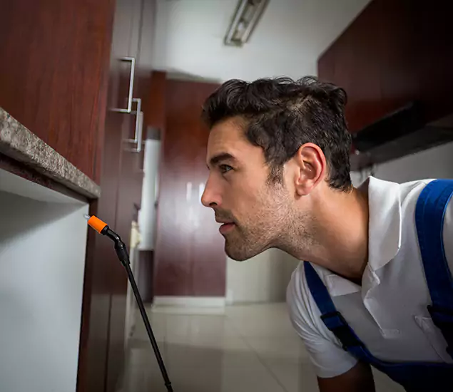 Expert Rodent in Attic Removal: Your Proven Pest Specialists in Estero, FL