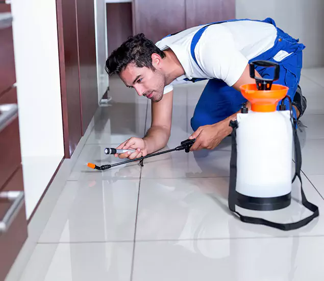 Advanced Slab Termite Treatment Experts You Can Trust&nbsp;in Estero, FL