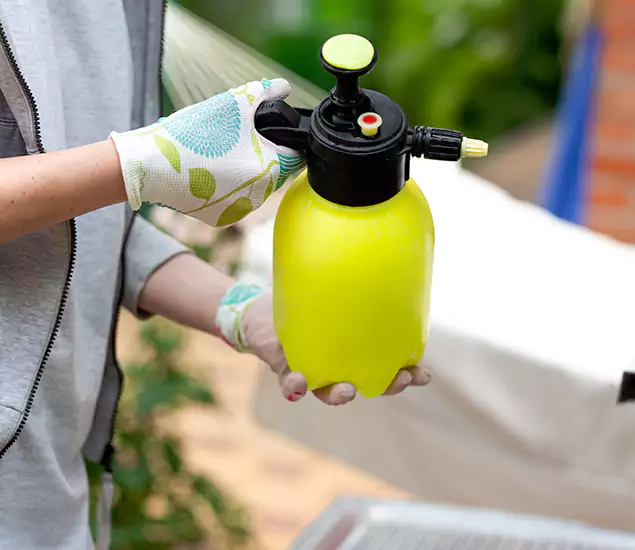 Skilled Residential Small Black Ant Service in Estero, FL