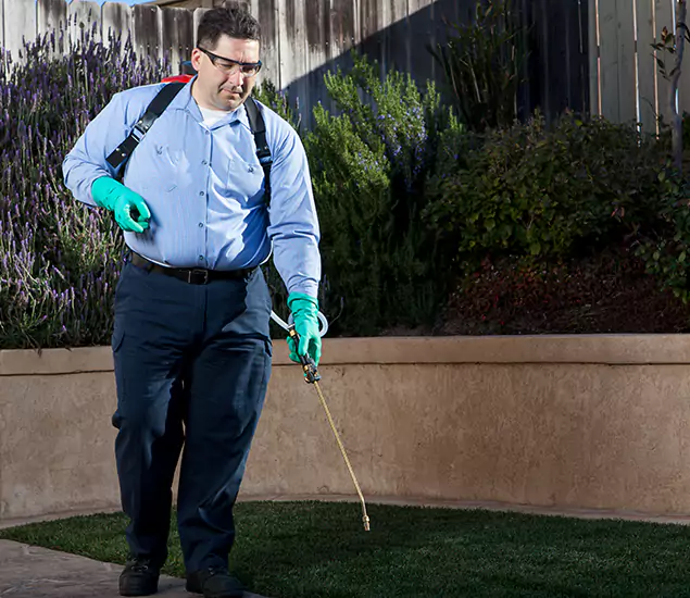 Reliable Termite Barrier Treatment Experts in Estero, FL