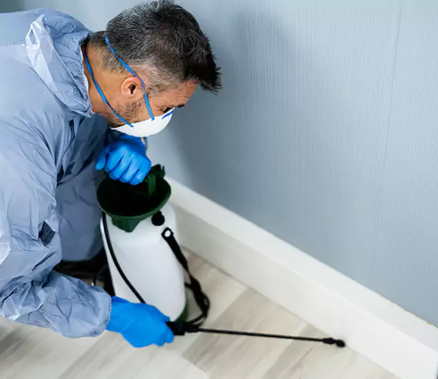 Reliable Termite Cost Experts in Estero, FL