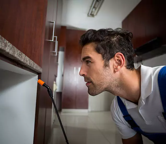 Termite Inspection Cost Experts You Can Trust in Estero, FL
