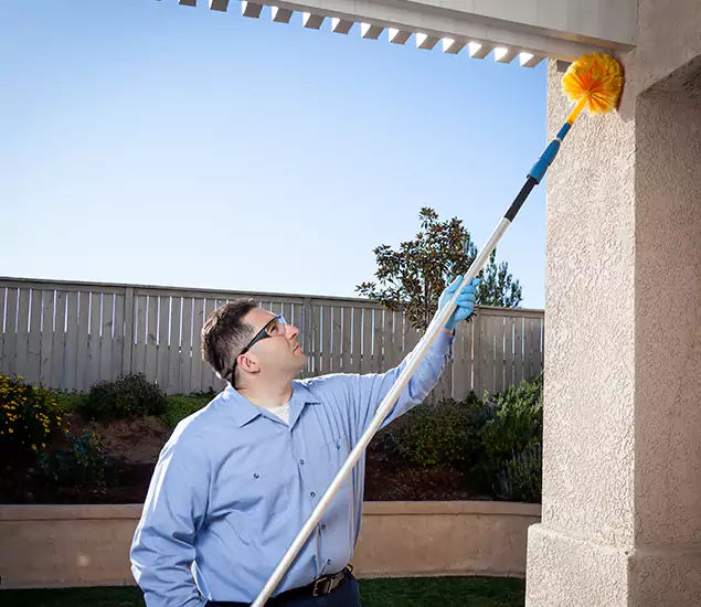 Your Trusted Wasp Removal Company in Estero, FL