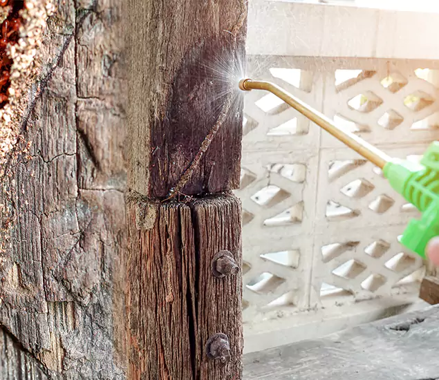 About Wood Termite Treatment Services in Estero, FL