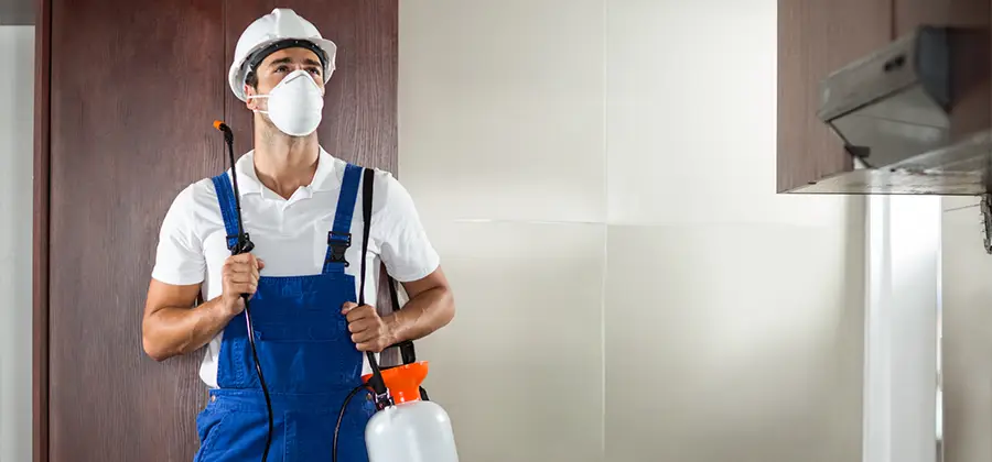 Per Room Bed Bug Cost in Estero