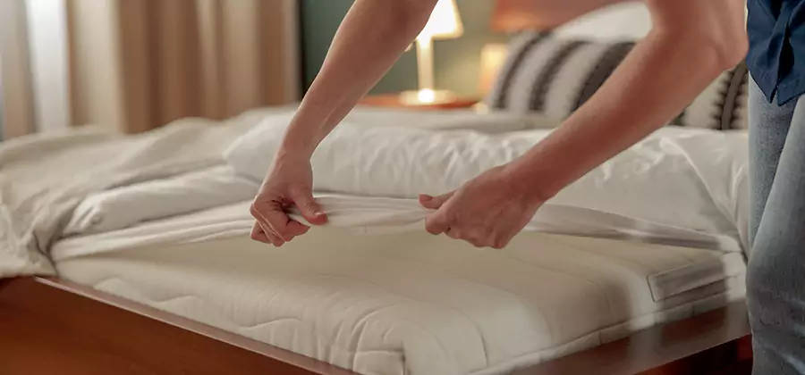 Bed Bug Extermination Services in Estero