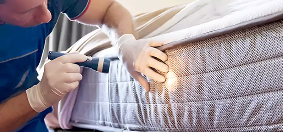 Residential Bed Bug Treatment Cost in Estero