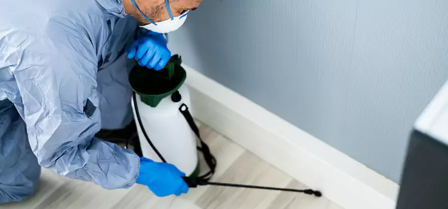 Fumigate Apartment Roaches in Estero