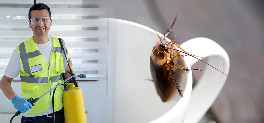 German Roach Infestation Treatment Estero