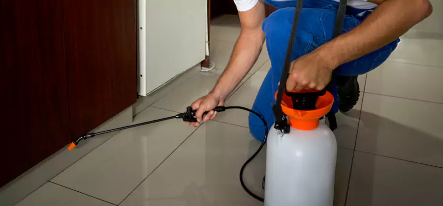 Indoor Mosquito Treatment in Estero