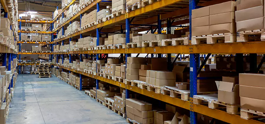 Warehouse Pest Control in Estero