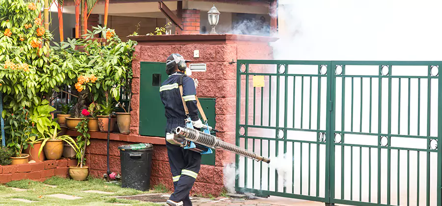 Backyard Mosquito Foggers Service in Estero