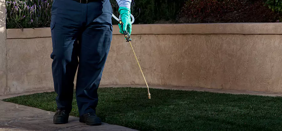 Soil Treatment for New Construction Termites in Estero