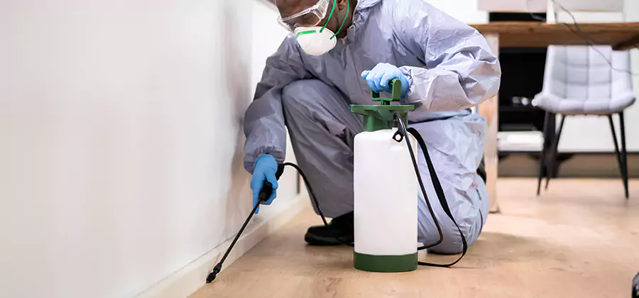 No Tent Termite Extermination With Electric Tool in Estero