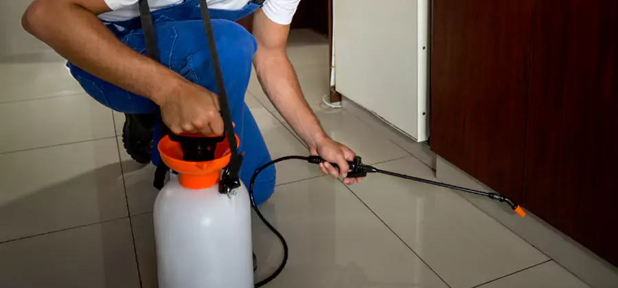 One Time Termite Control in Estero
