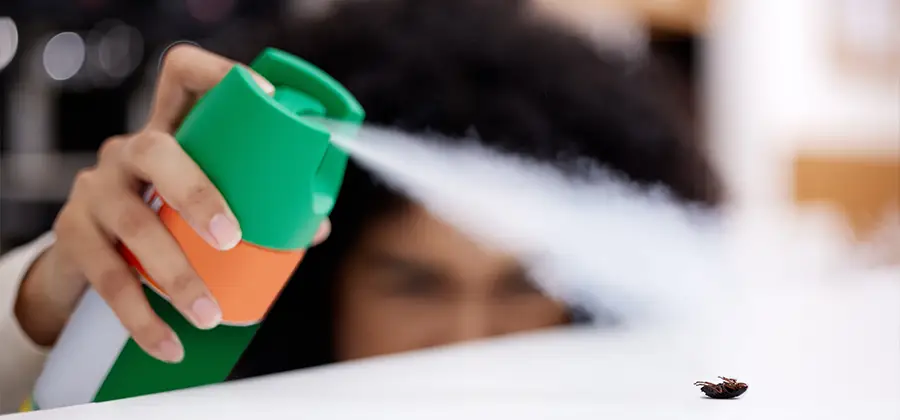 Child Safe Bed Bug Treatment in Estero