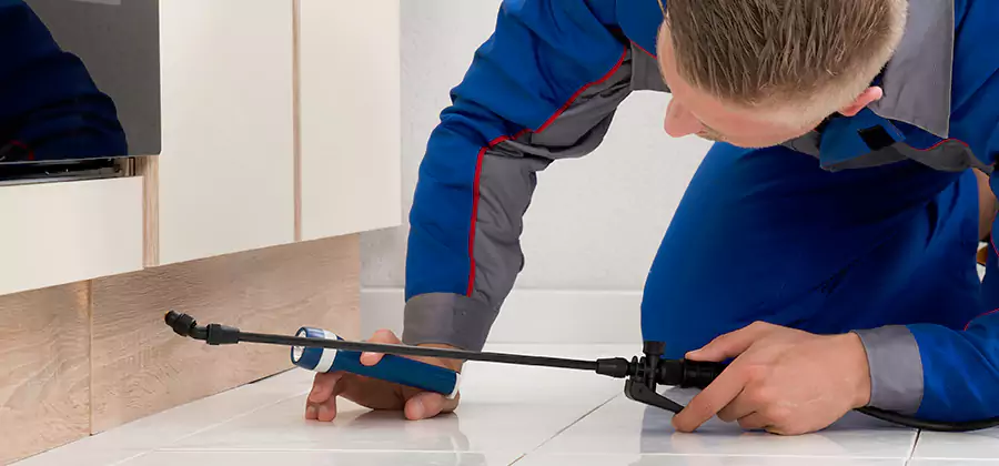 Moisture Treatment For Termite Control Service in Estero