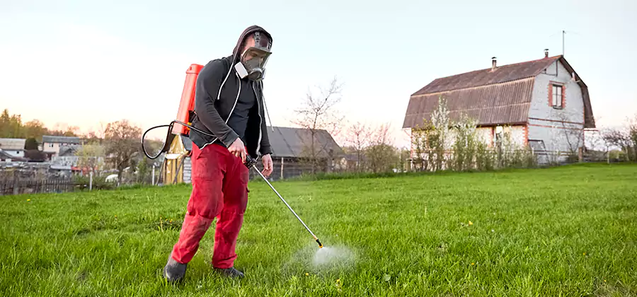 Flea and Tick Pest Control in Estero