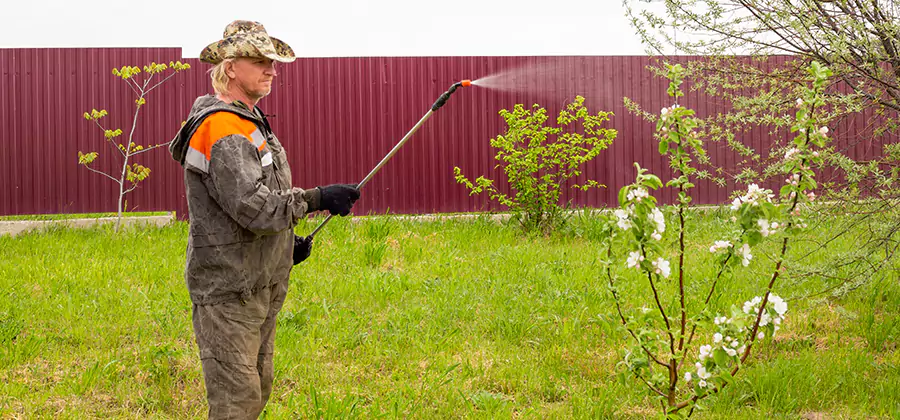 Flea and Tick Spray for Yard in Estero