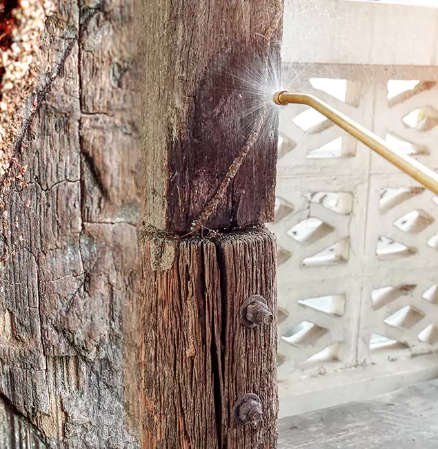 Why Choose Estero Pest Control Pro for Attic Termite Treatment in Estero, FL?