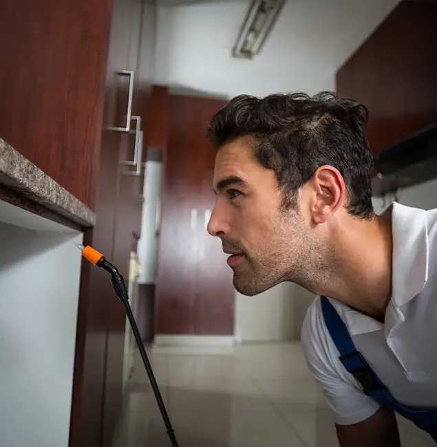 Why Choose Estero Pest Control Pro for Bed Bug Removal Cost in Estero, FL?