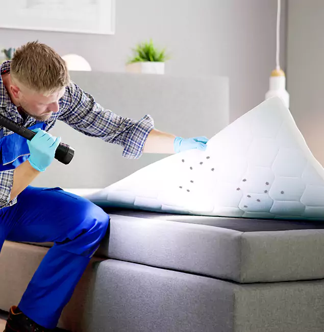 Why Choose Estero Pest Control Pro in Estero, FL?