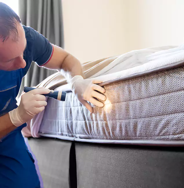 Why Choose Estero Pest Control Pro for Bed Bug Services in Estero, FL?
