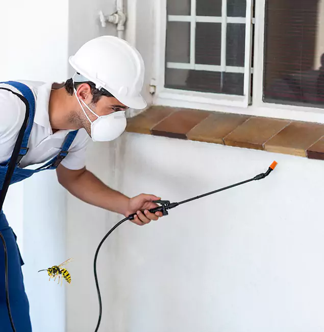Why Estero Property Owners Choose Estero Pest Control Pro for Bee Nest Removal?