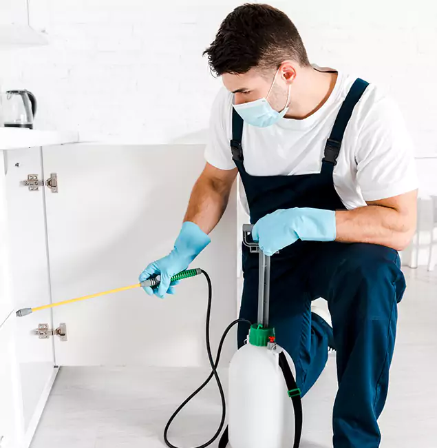 Why Choose Estero Pest Control Pro for Emergency Pest Control in Estero?