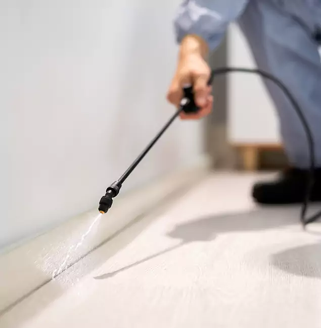 Why Choose Estero Pest Control Pro for Termite Treatment in Estero, FL?