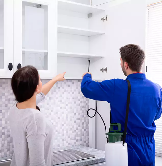Why Estero Property Owners Choose Estero Pest Control Pro for Ground Bee Removal?