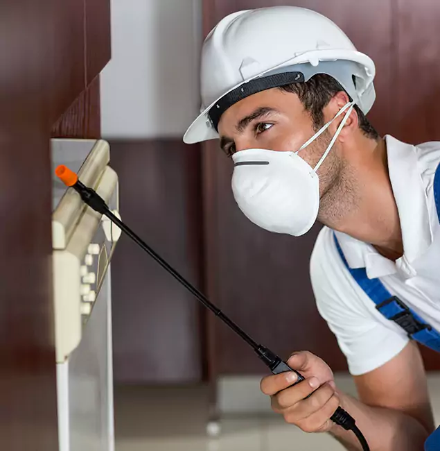 Why Estero Homeowners Rely on Estero Pest Control Pro for Tick Treatment?