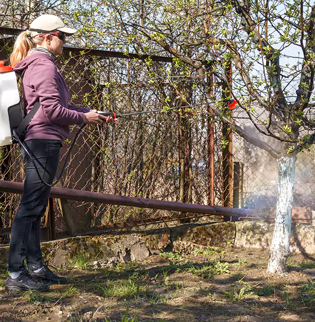 Why Estero Homeowners Choose Estero Pest Control Pro for Mosquito Abatement?