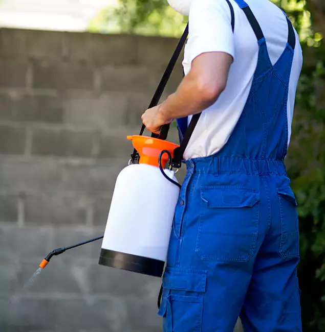 Why Estero Homeowners Rely on Estero Pest Control Pro for Mosquito Control?
