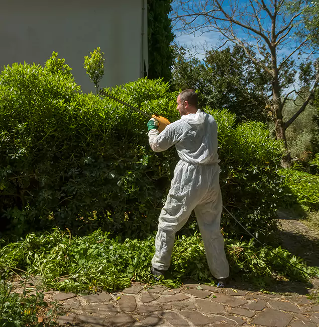 Why Estero Pest Control Pro Leads Mosquito Control in Estero, FL?