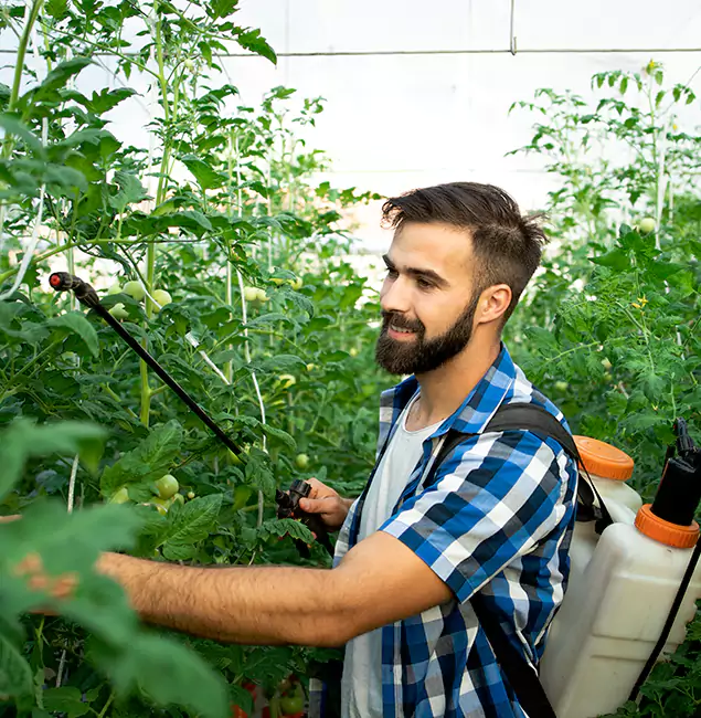 Why Estero Homeowners Choose Estero Pest Control Pro for Mosquito Spraying?