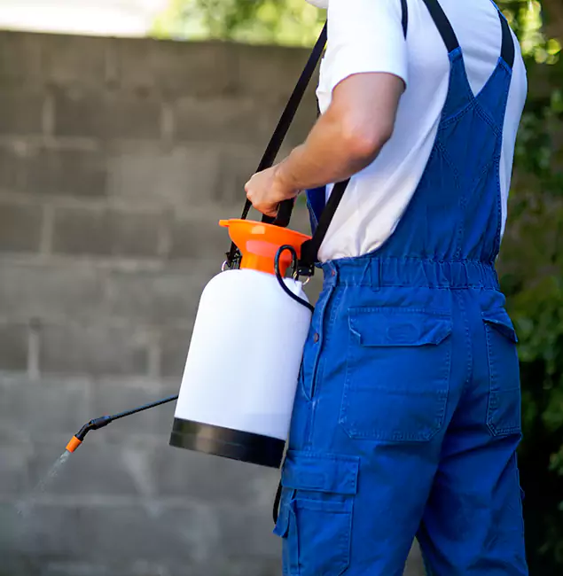 Why Estero Pest Control Pro Delivers the Best Mosquito Control in Estero, FL?