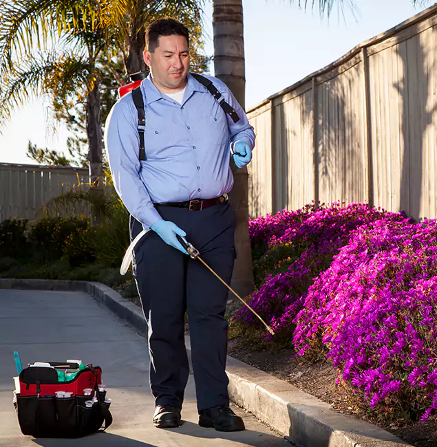 Why Choose Estero Pest Control Pro in Estero, FL?