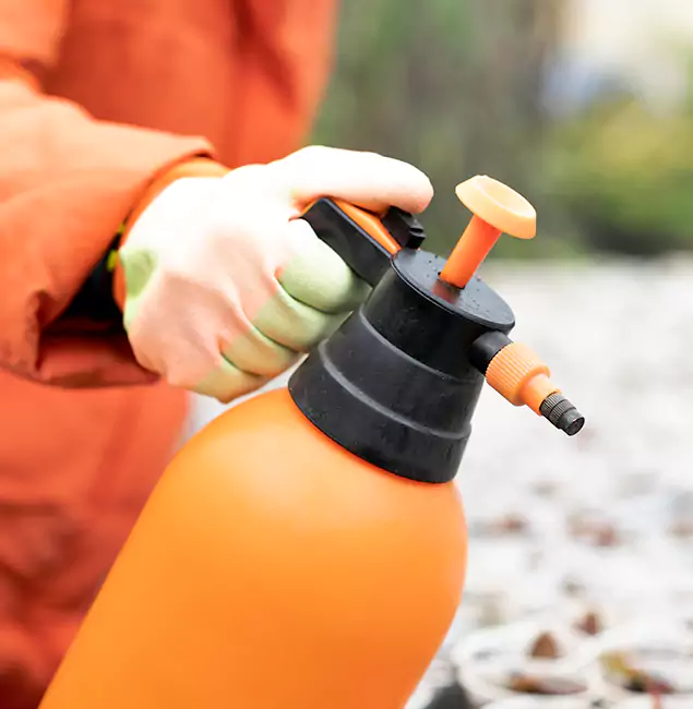 Why Choose Estero Pest Control Pro for Orange Termite Treatment in Estero, FL?