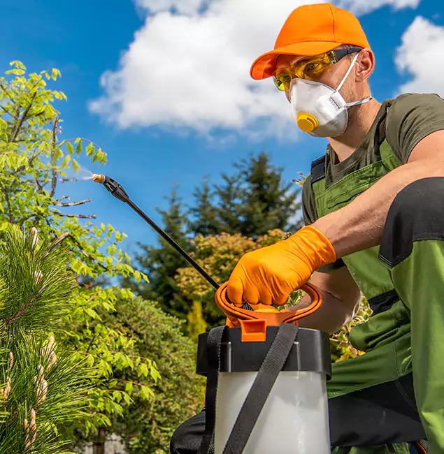 Why Choose Estero Pest Control Pro for Outdoor Pest Control in Estero, FL?