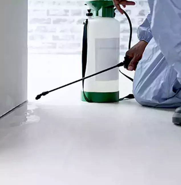 Why Choose Estero Pest Control Pro for Rat Exterminator in Estero, FL?
