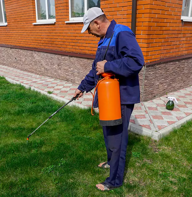Why Choose Estero Pest Control Pro for Residential Pest Control in Estero, FL?