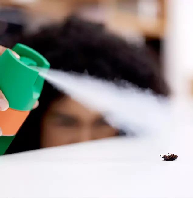 Why Estero, FL Homeowners Choose Estero Pest Control Pro for Roach Pest Control?