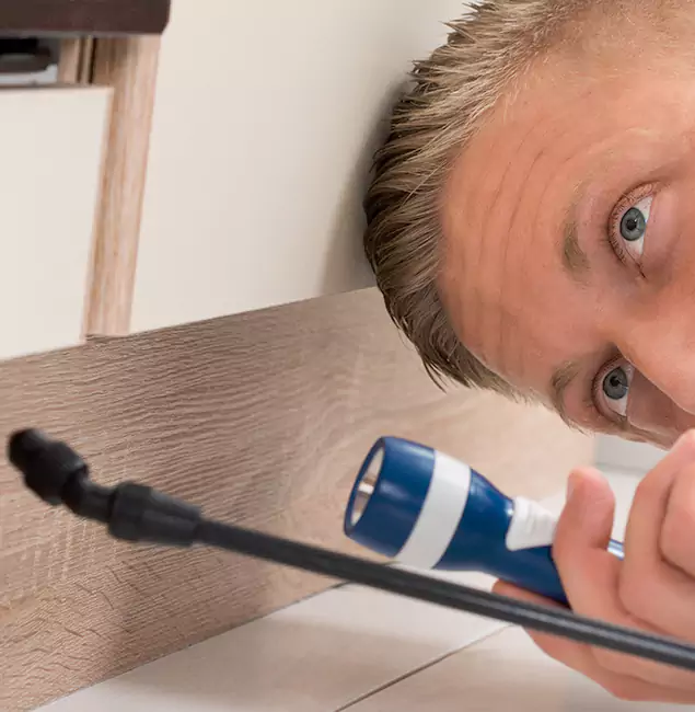 Why Choose Estero Pest Control Pro for Rodent Exterminator in Estero, FL?